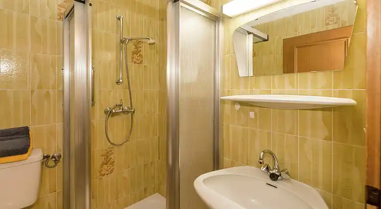 Apartment in Lämmerbichl