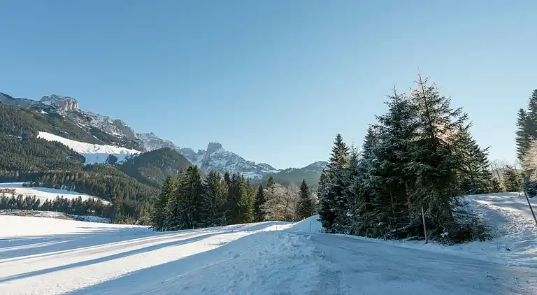 Hytte i Annaberg im Lammertal