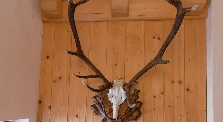 Hytte i Wald im Pinzgau