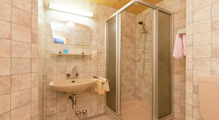 Apartment in Wald im Pinzgau