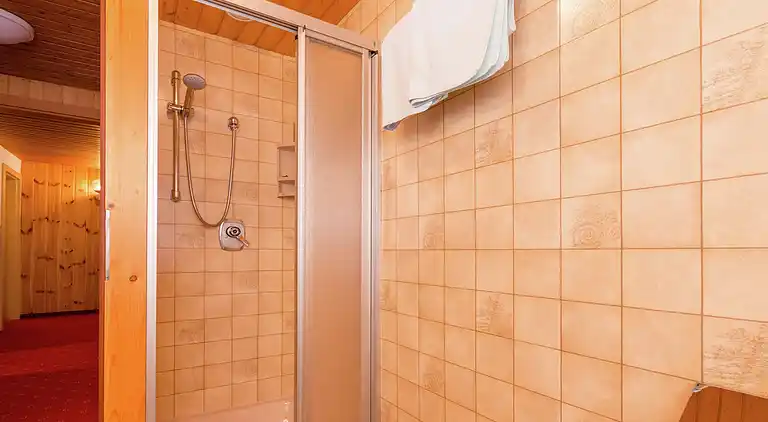 Apartment in Wald im Pinzgau