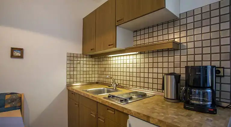 Apartment in Kelchsau