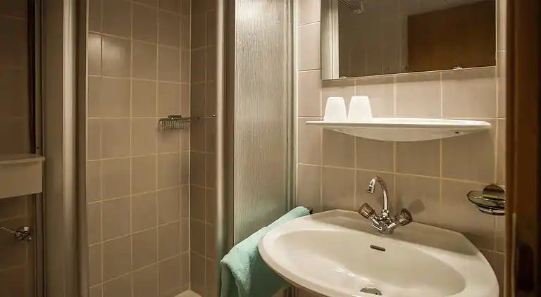 Apartment in Kelchsau