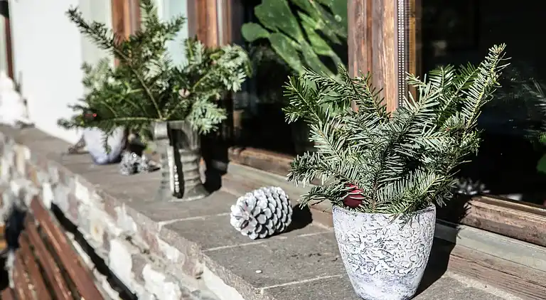 Apartment in Kühlenluft