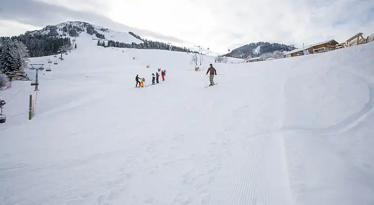 Apartment in Kelchsau