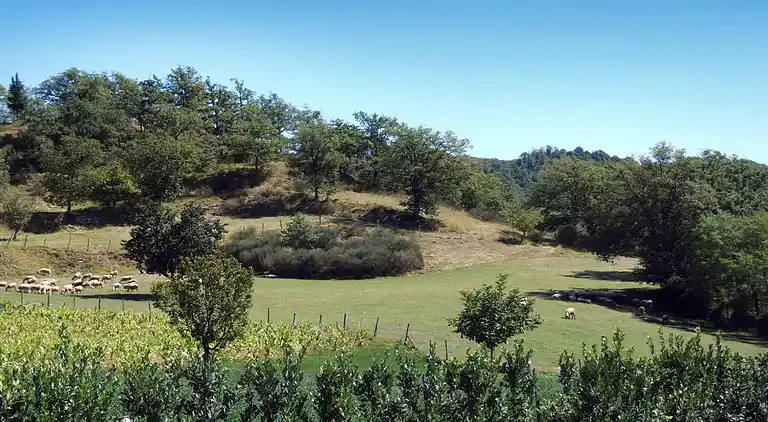 Vakantiehuis in Dicomano