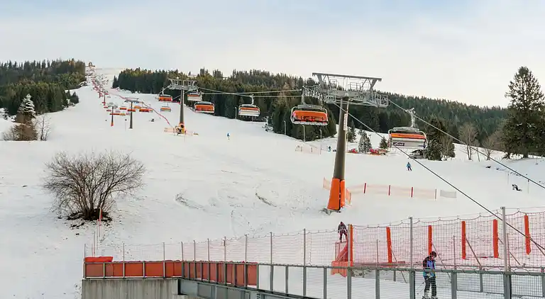 Cottage in Dienten am Hochkönig