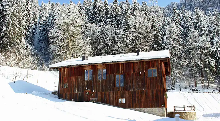 Apartment in Ramsau im Zillertal