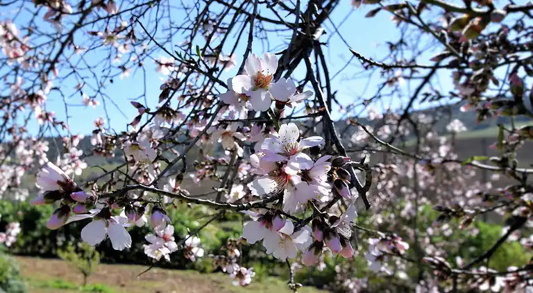 Holiday home in Fuente Amarga