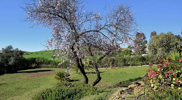Holiday home in Fuente Amarga
