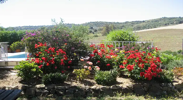 Holiday home in Fuente Amarga
