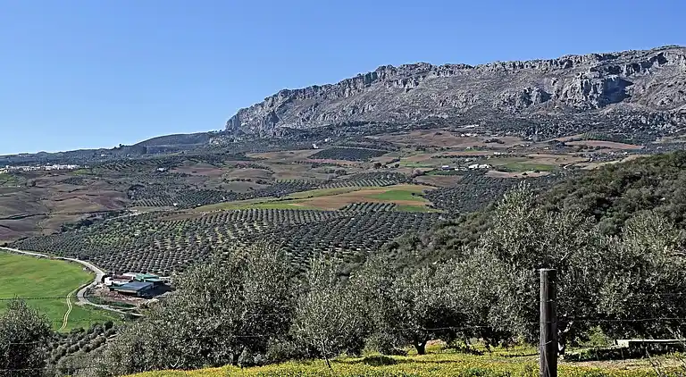 Holiday home in Fuente Amarga