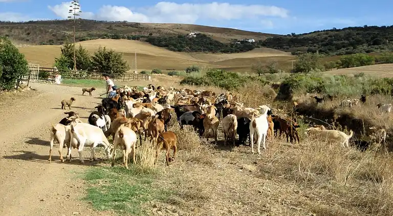 Holiday home in Fuente Amarga