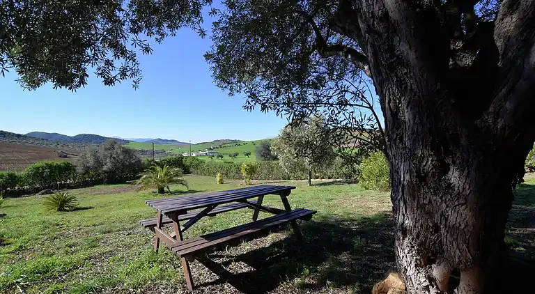 Holiday home in Fuente Amarga