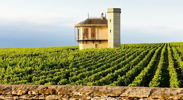 Holiday home in Homps