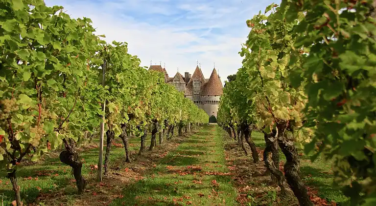 Holiday home in Montcuq