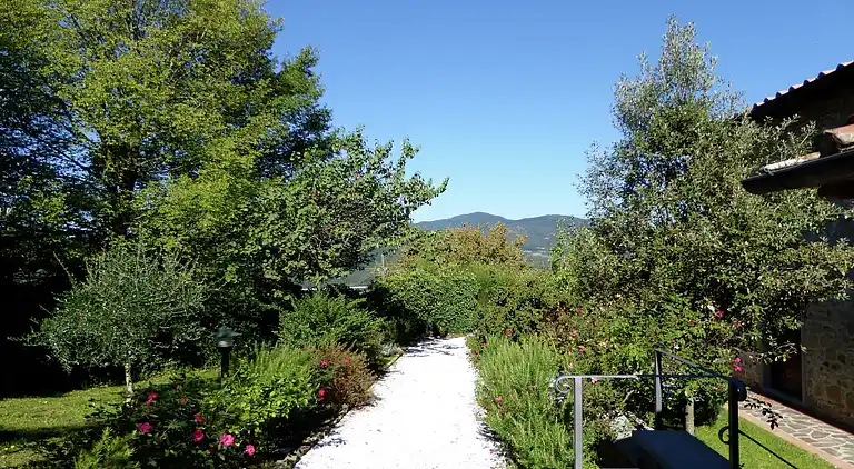 Ferienhaus in Montecarelli