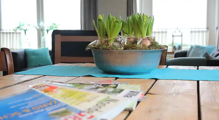 Holiday home in Nijeberkoop