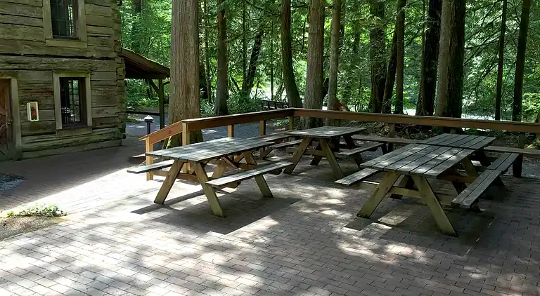 Mt. Baker Lodging Condo #68 - Sleeps 4!