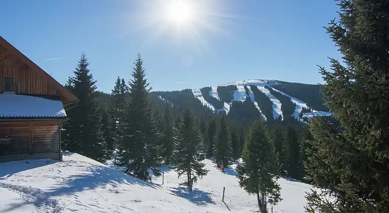 Sommerhus i Weinebene
