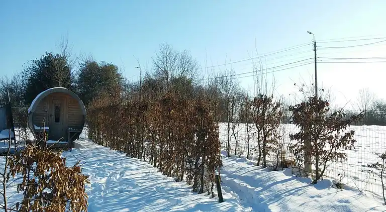 Sommerhus i Limbourg