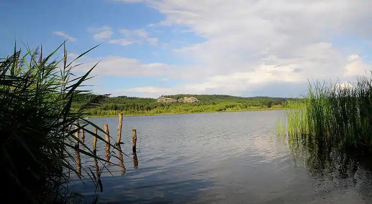 Holiday home in Netolice