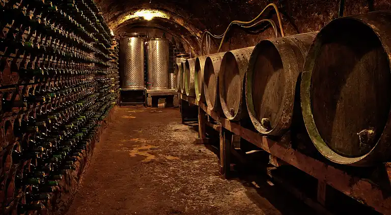 Manor house in Bastida