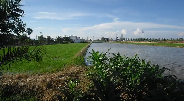 Holiday home in Sant Jaume d'Enveja