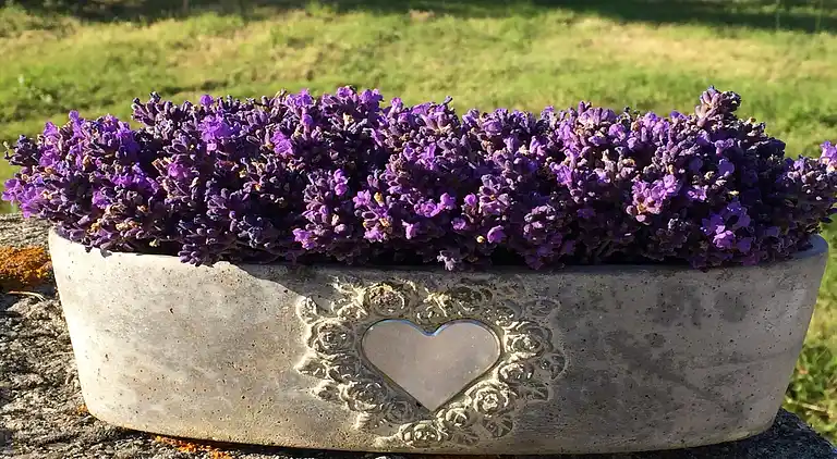 Holiday home in Homps