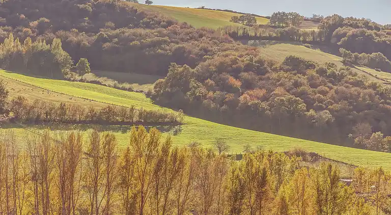 Vakantiehuis in Réquista