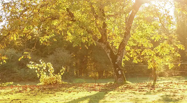 Holiday home in Marminiac