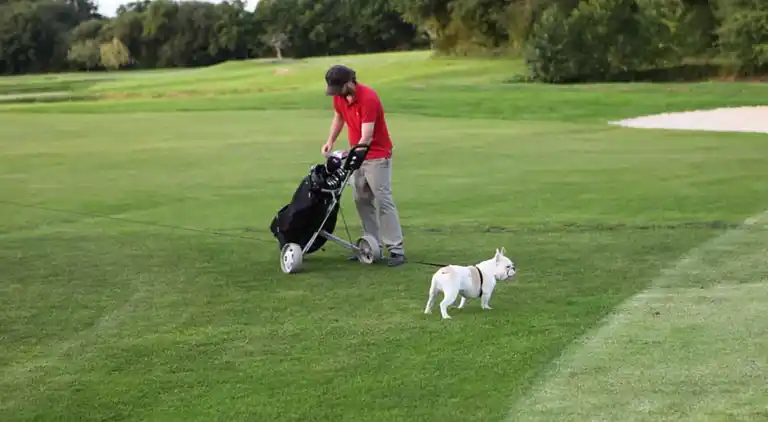 Sommerhus i Saint-Sauveur-Lendelin