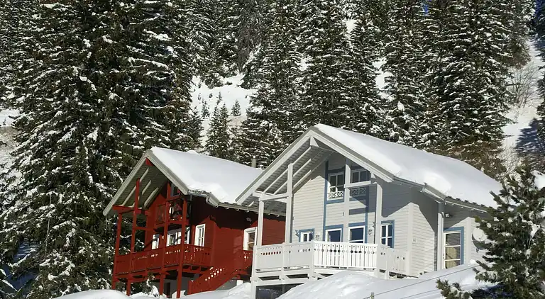 Cottage in Arâches-la-Frasse