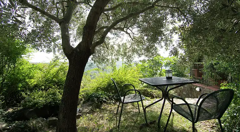 Sommerhus i Gaiole in Chianti