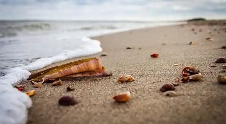 Ferielejlighed i Capo Rizzuto