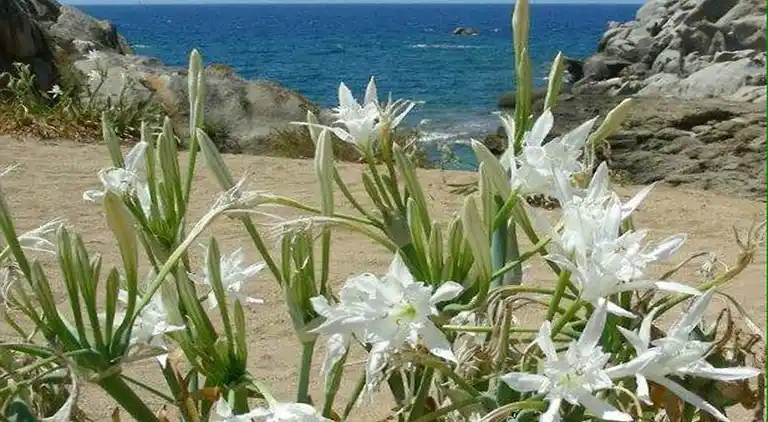 Ferielejlighed i Capo Rizzuto