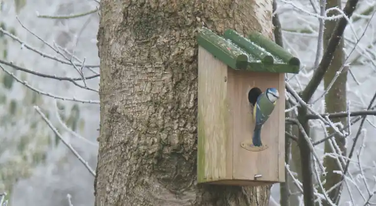 Vakantiehuis in Lemele