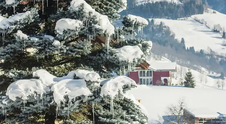 Apartment in Piesendorf