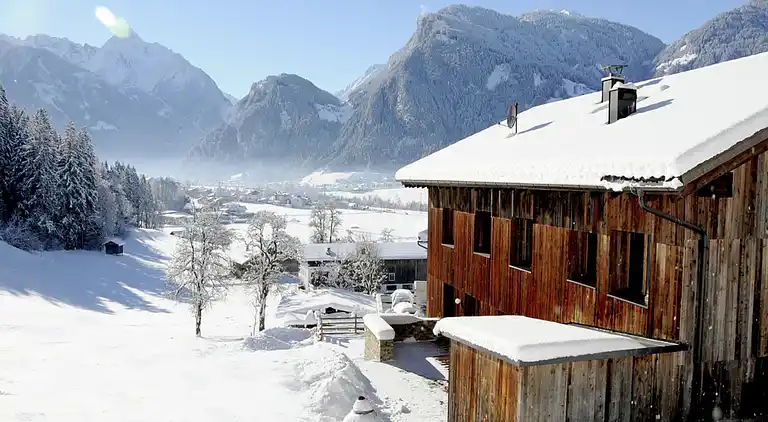 Apartment in Ramsau im Zillertal