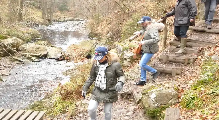 Feriebolig i Francorchamps