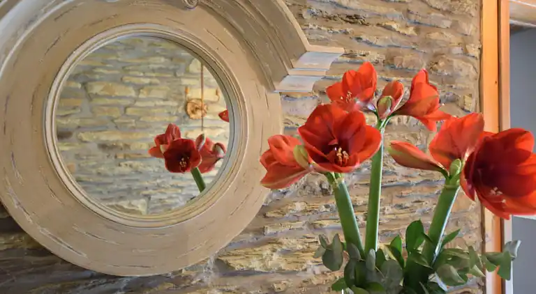 Holiday home in Tenneville