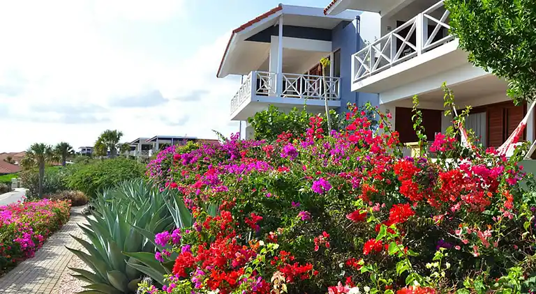 Appartamento in Jan Thiel