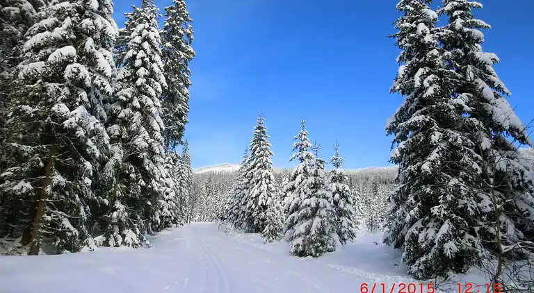 Ferielejlighed i Hengersberg
