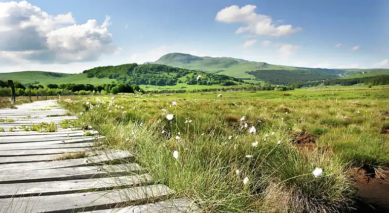 Ferielejlighed i Saint-Nectaire