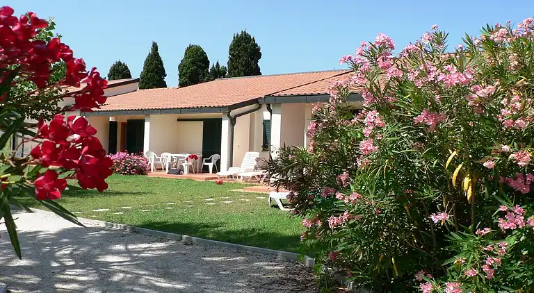 Semesterbostad i Campiglia Marittima