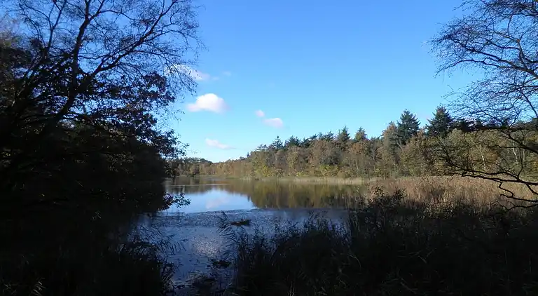 Holiday home in Langweer