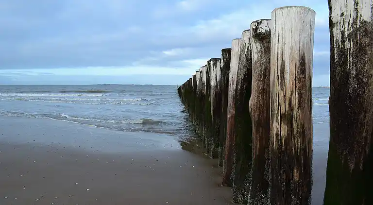 Ferienhaus in Schoondijke