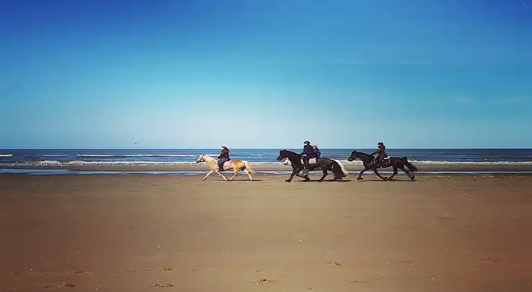 Apartment in Noordwijk aan Zee