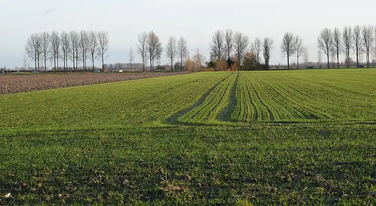Ferienhaus in Schoondijke