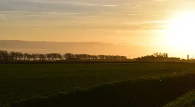 Ferienhaus in Schoondijke
